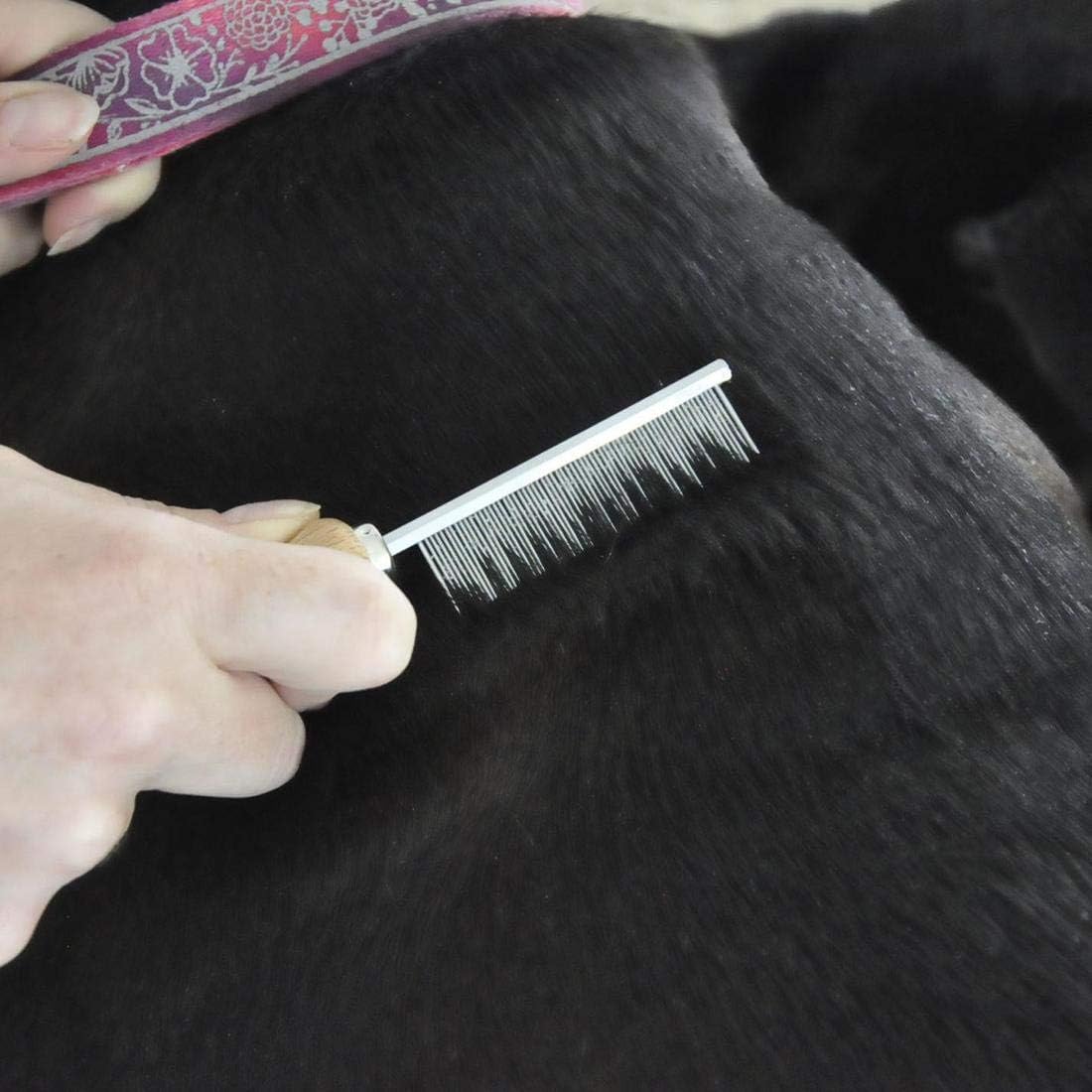 Close up of Safari flea comb stainless steel teeth