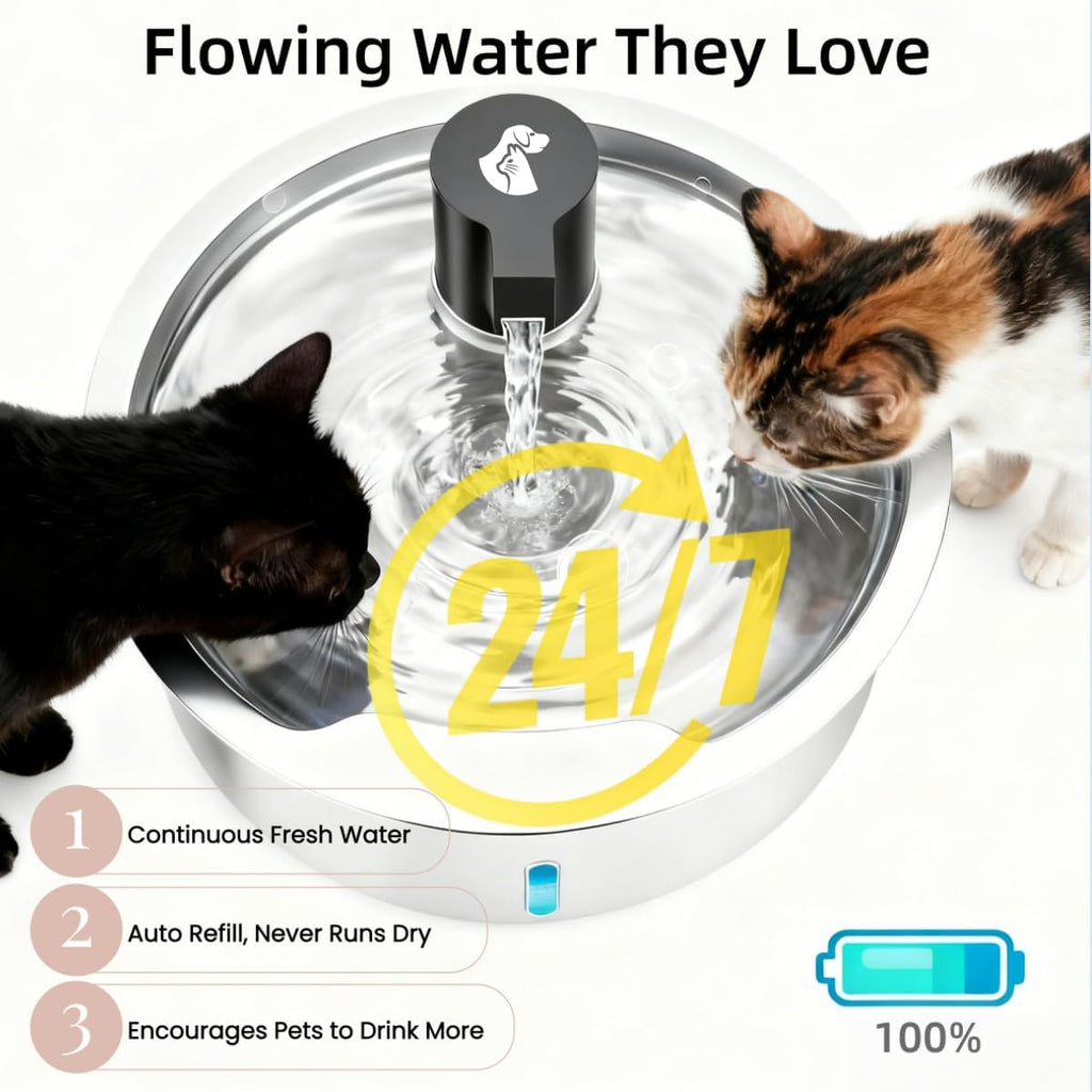 Detailed view of 304 stainless steel basin for pet hydration