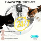 Detailed view of 304 stainless steel basin for pet hydration