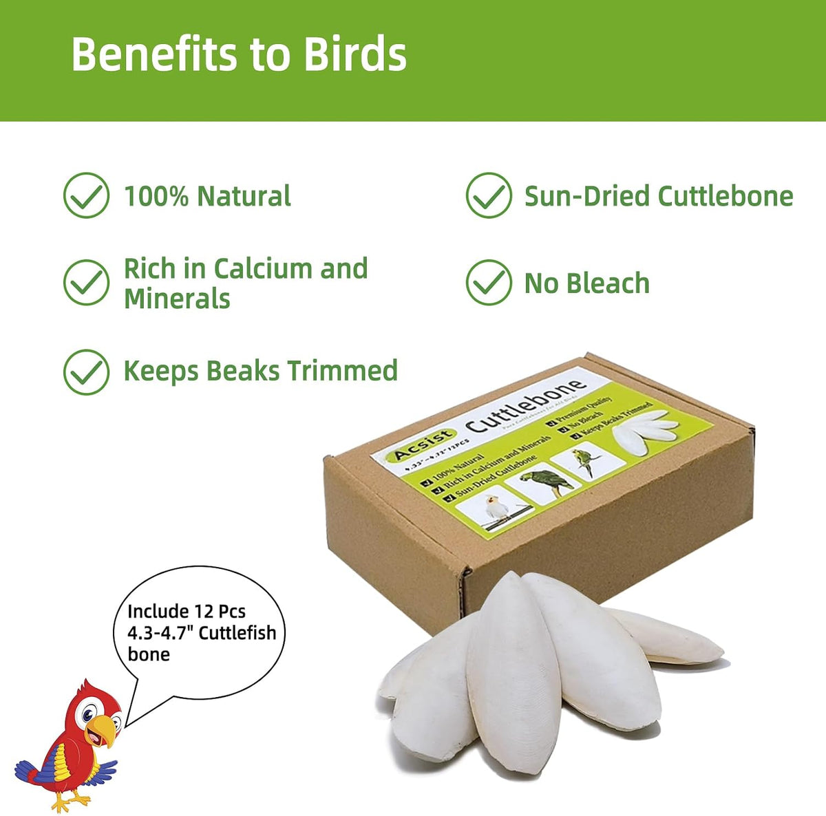 4.3"-4.7" Cuttlebone for Birds,Natural Cuttlefish Bone for Parakeets,12 Pcs - Image 3