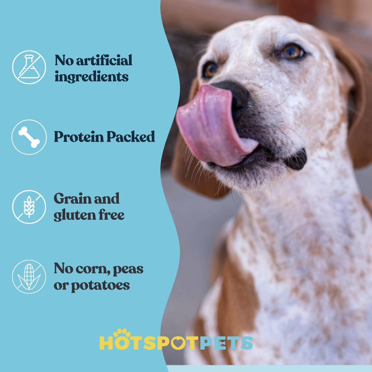 Hotspot Pets natural oral hygiene chew for large canine breeds