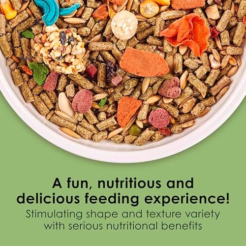 Kaytee Fiesta Guinea Pig Food ingredient variety display