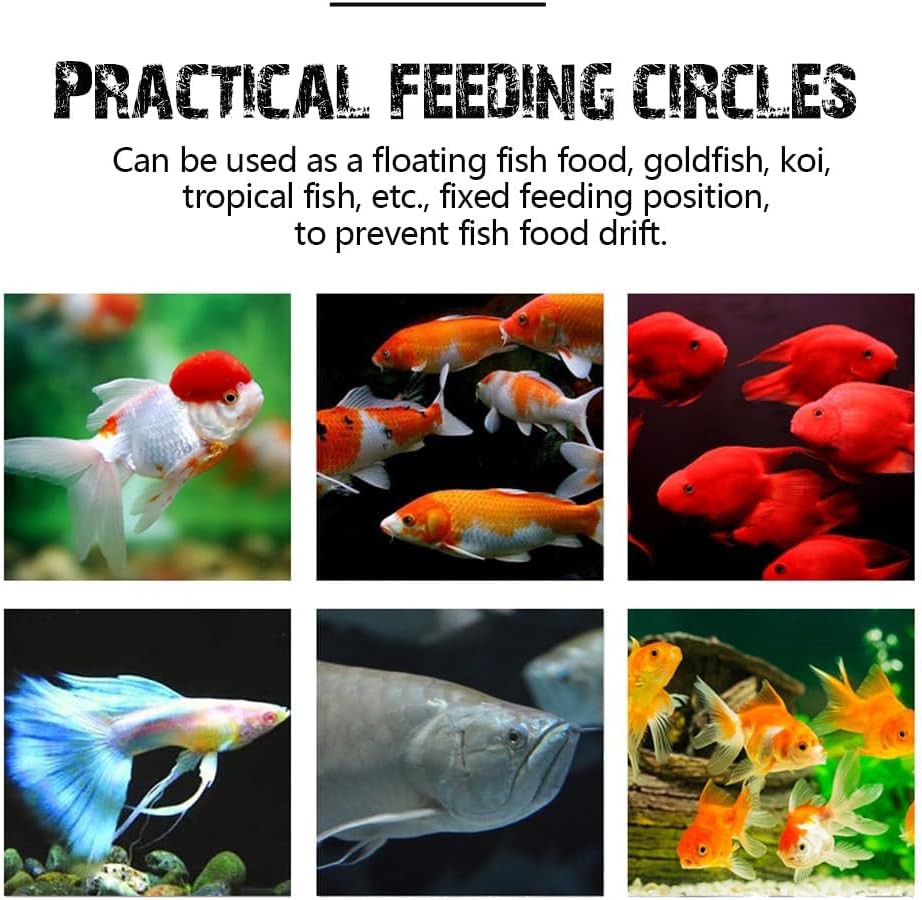 Fish-safe plastic feeding ring floating in freshwater aquarium setup
