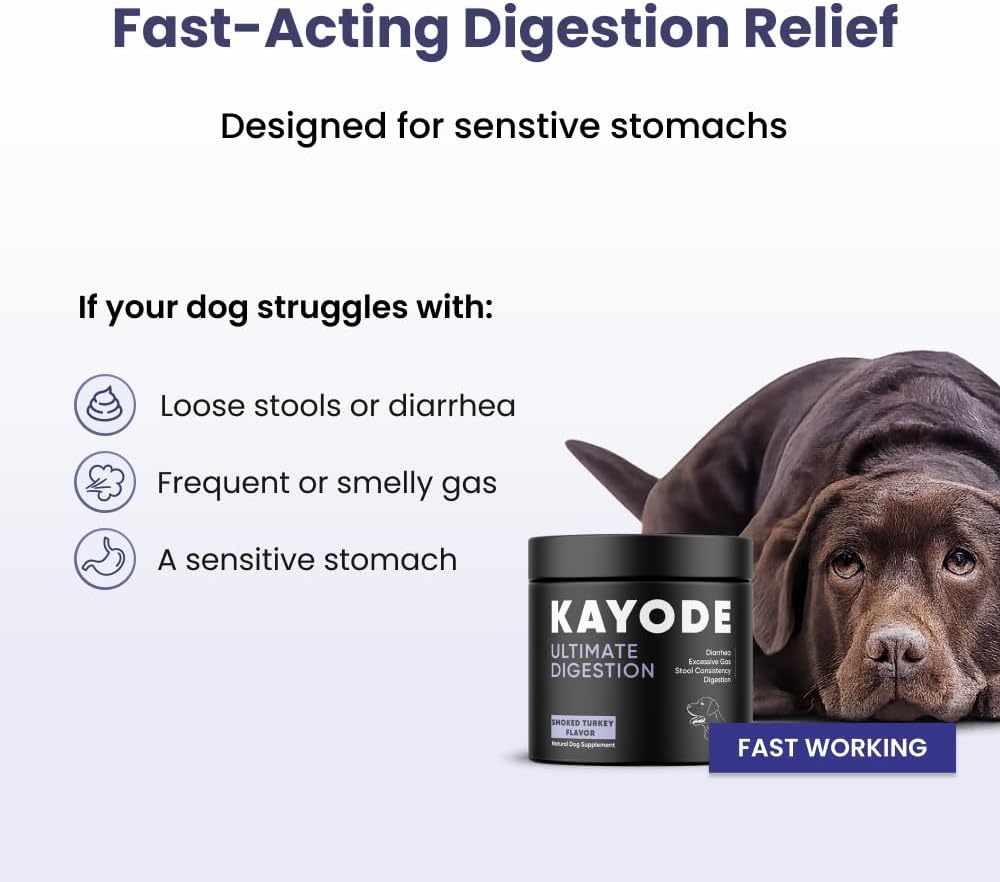 Kayode digestive chews for dogs 90 count bottle