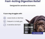 Kayode digestive chews for dogs 90 count bottle