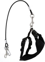 Small dog wearing harness connected to Mogoko safety tether