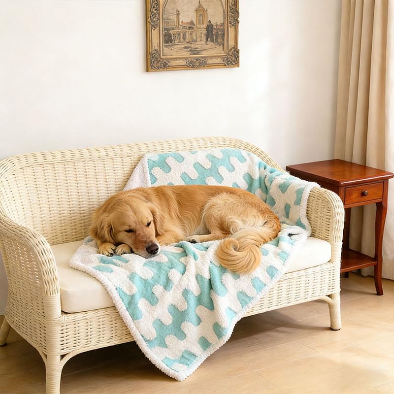 Tuffeel waterproof pet blanket front view protecting a living room couch.