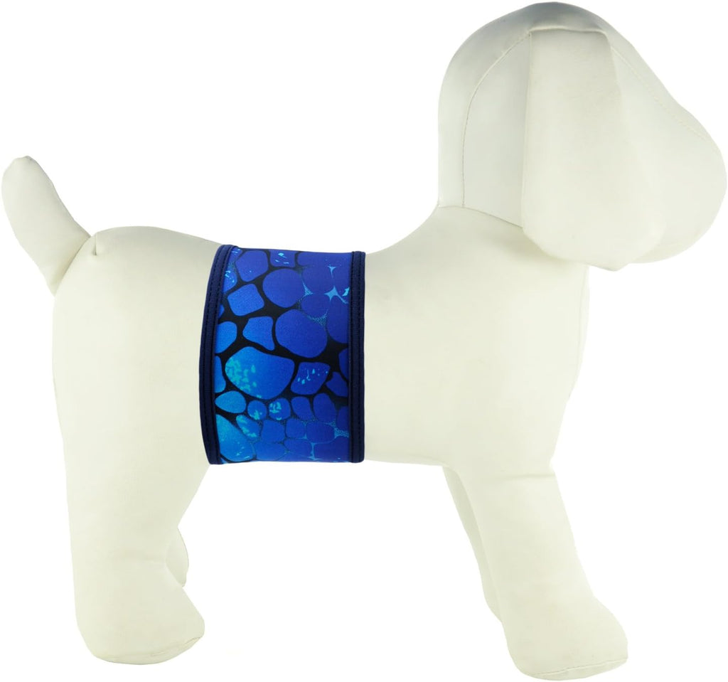PlayaPup male puppy house training band flat layout