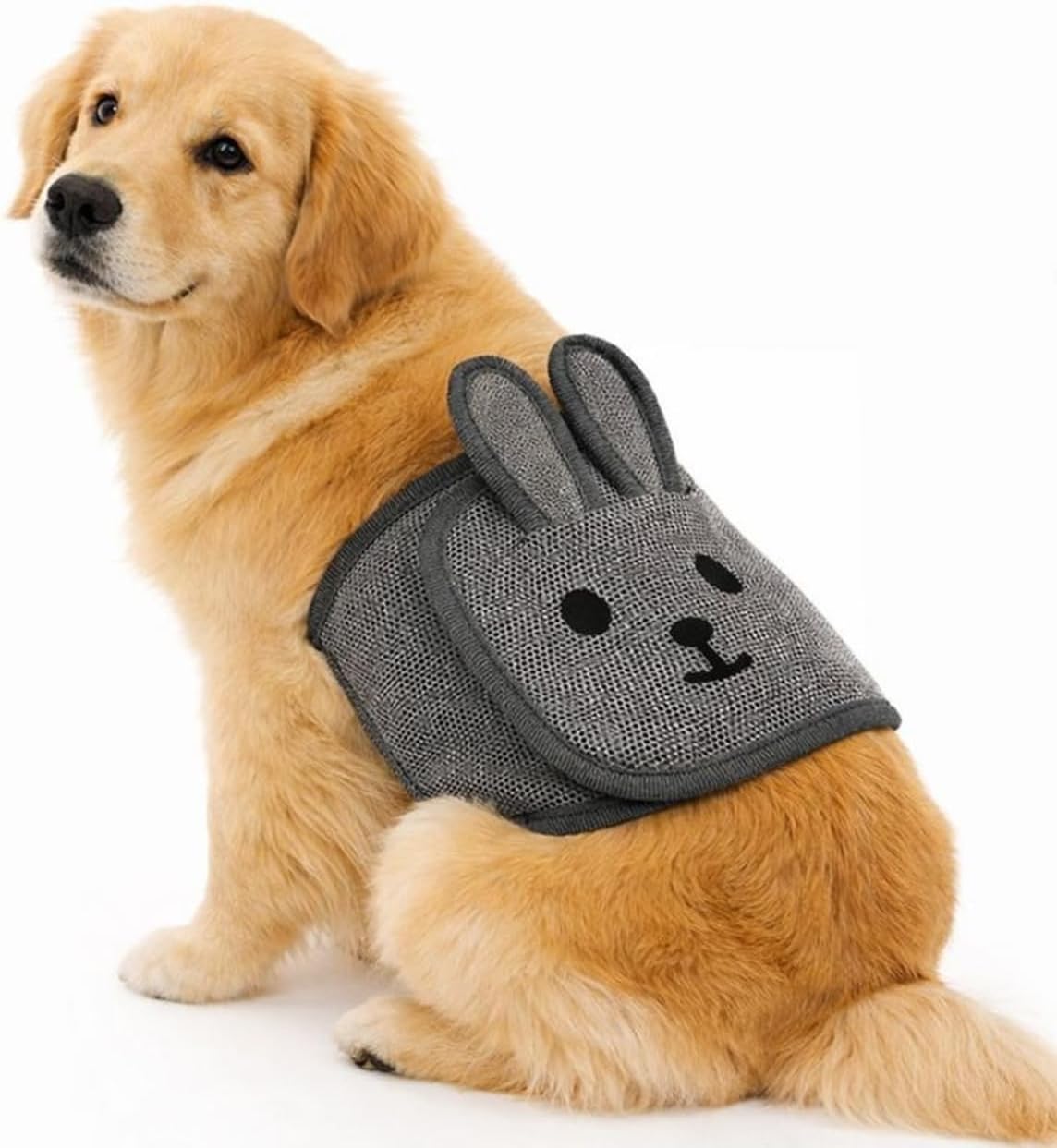 Colenumone leak proof dog diaper pack on white background