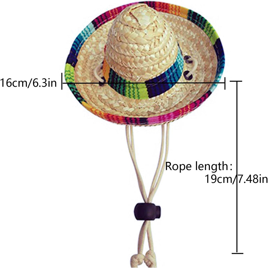 Small pet wearing festive Mexican hat for birthday party