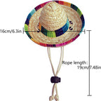 Small pet wearing festive Mexican hat for birthday party