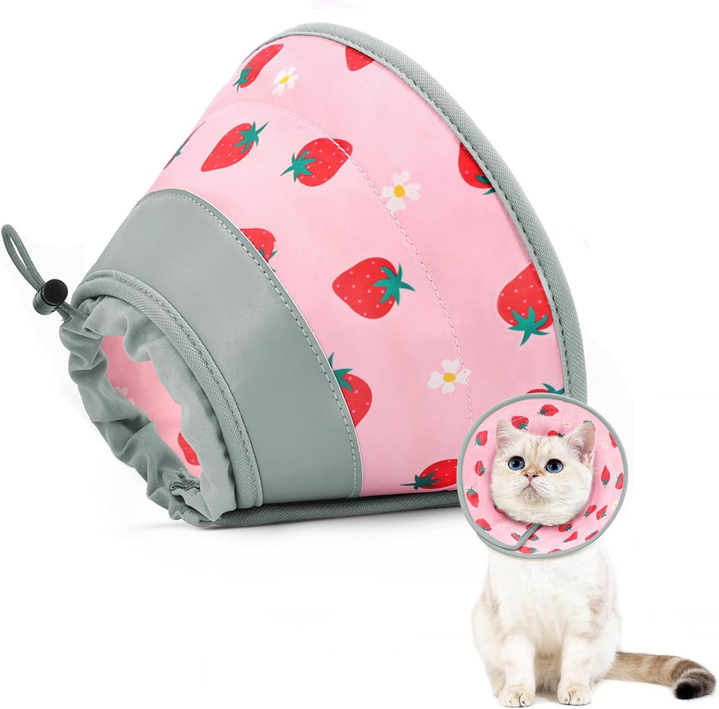 GoGoPaw soft cat cone collar in pink front view on a kitten