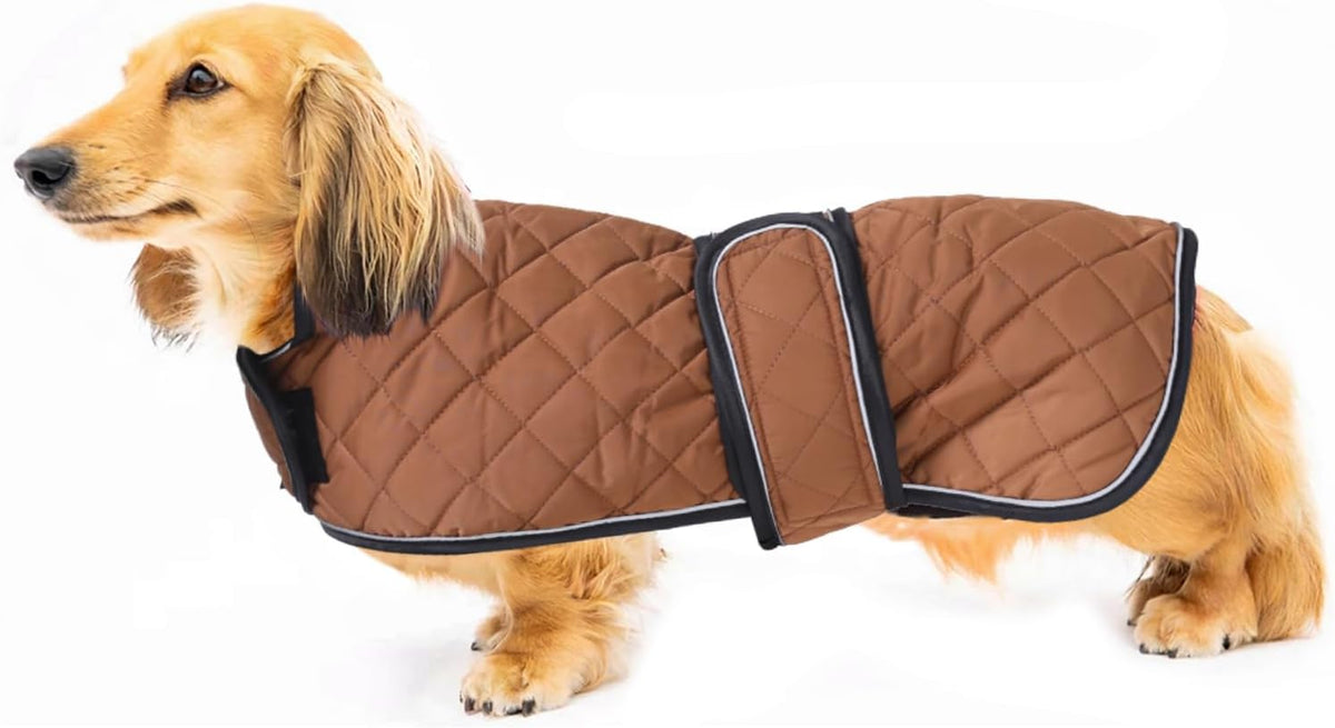 Dog wearing pink quilted winter coat outdoors