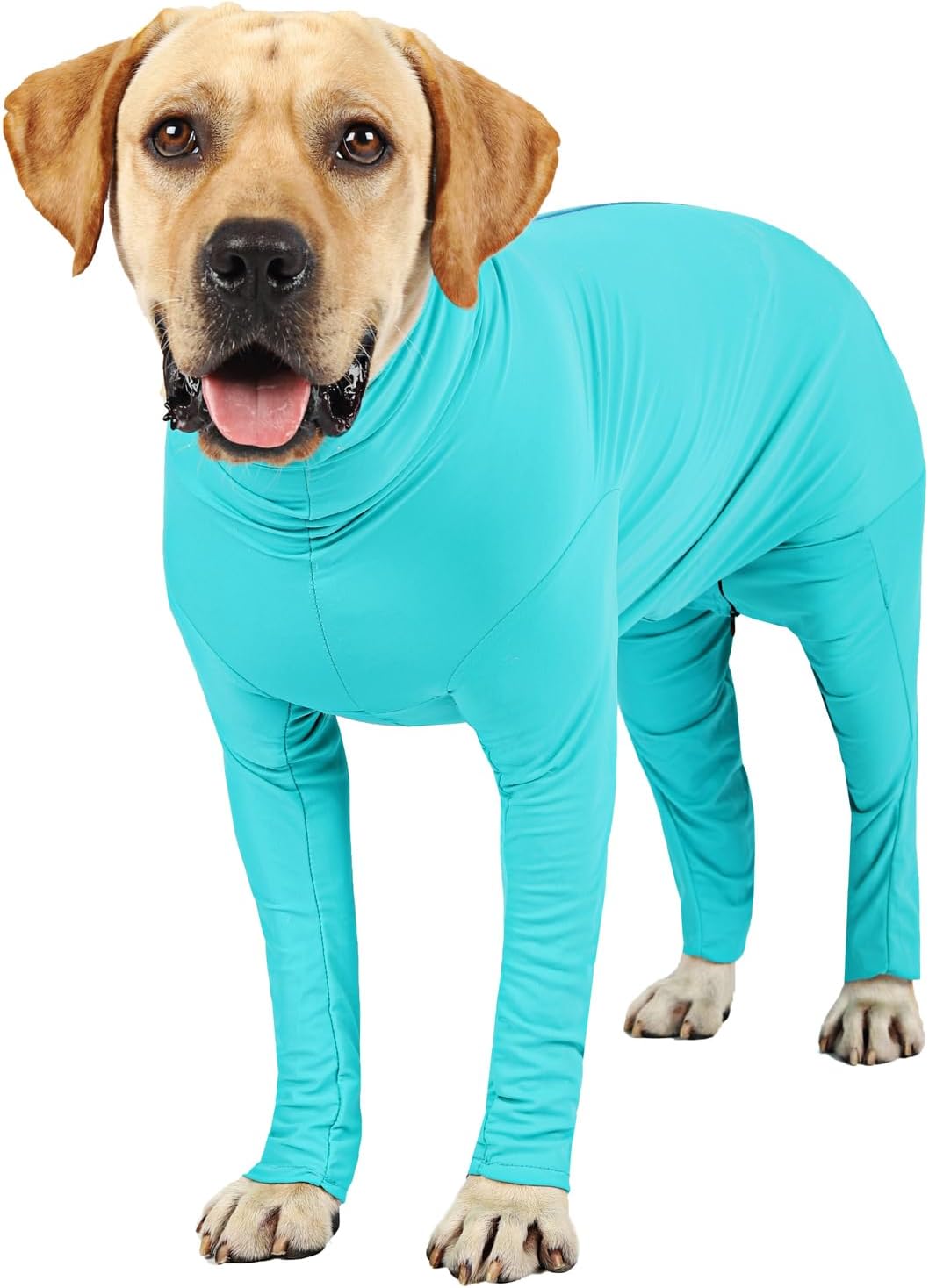 Parderry protective post operative dog clothes packaging and size details