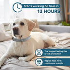 Njkpuyt flea and tick preventative collar for large dogs