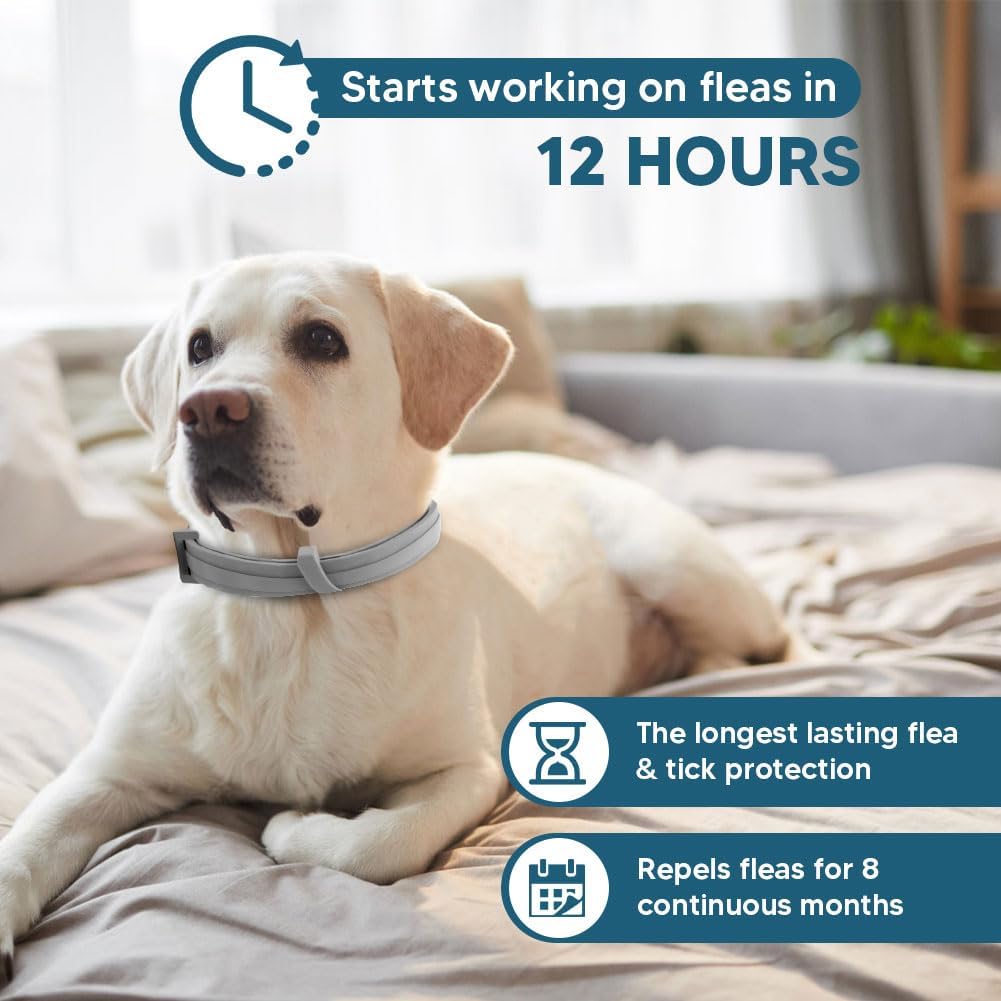 Njkpuyt flea and tick preventative collar for large dogs