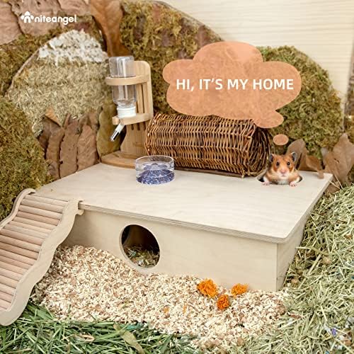 Niteangel multi-room hamster habitat set up inside a glass enclosure tank