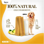 Dogsee natural dog treats for large breeds showing the dense cheese bar texture