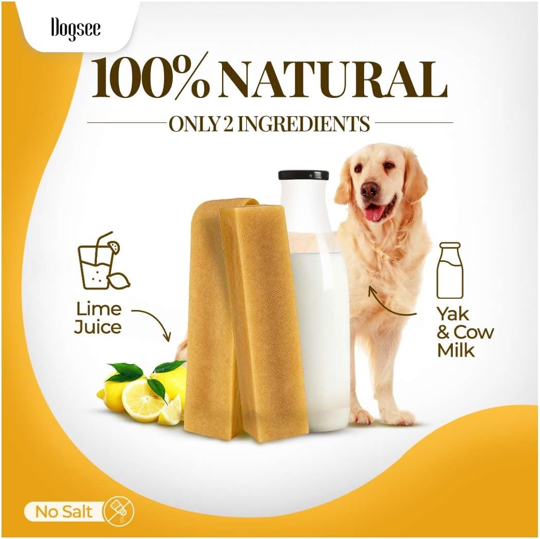 Dogsee natural dog treats for large breeds showing the dense cheese bar texture