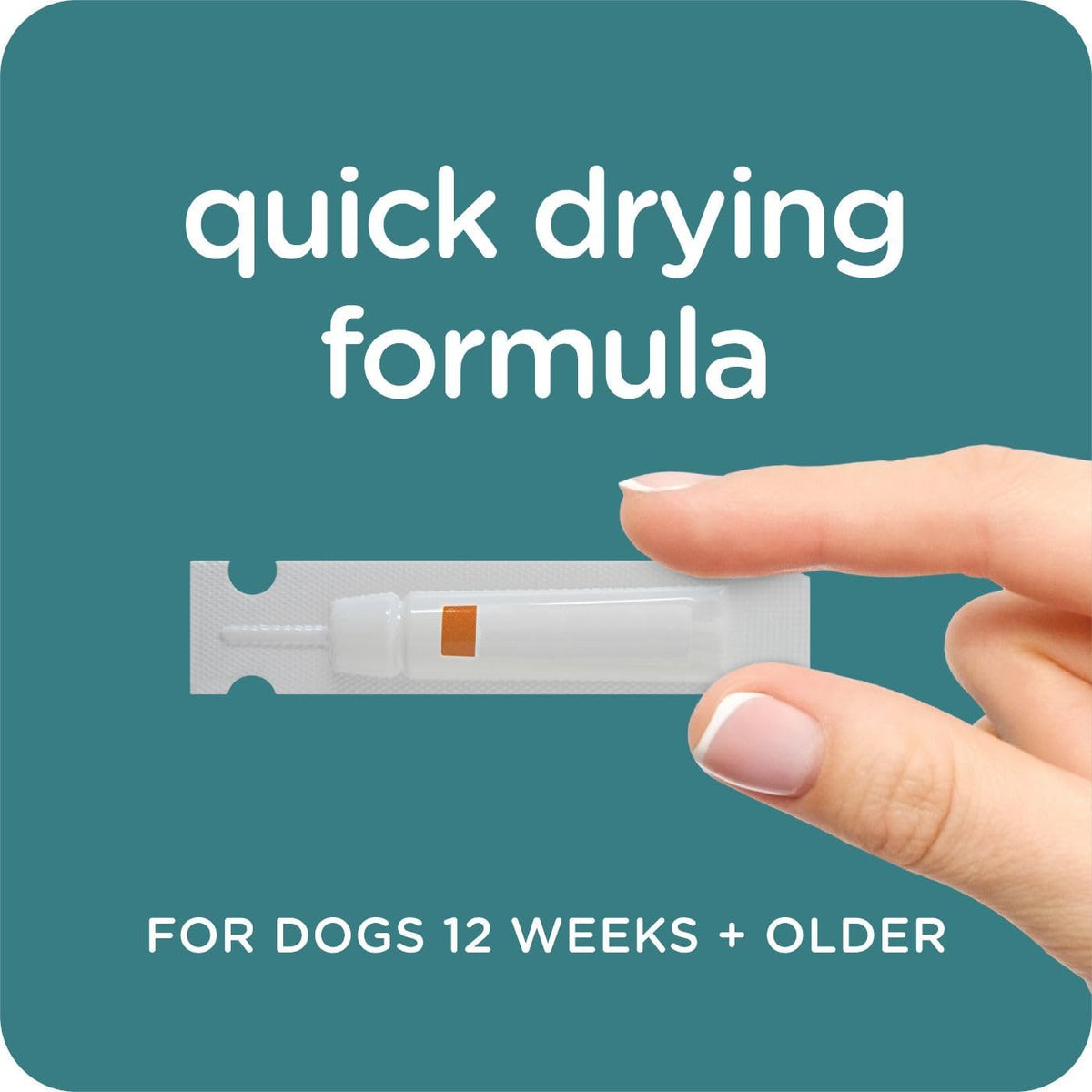 Sergeant's Guardian safe topical application steps for small and medium canine breeds