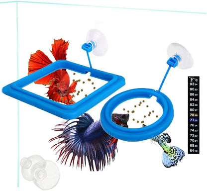 Fish Feeding Ring, Fish Safe Floating Food Feeder Circle Blue, with Suction Cup Aquarium, Square and Round Shape Fish Tank Towels - for Guppy, Betta, Goldfish, Etc (1 Circle) - Image 15