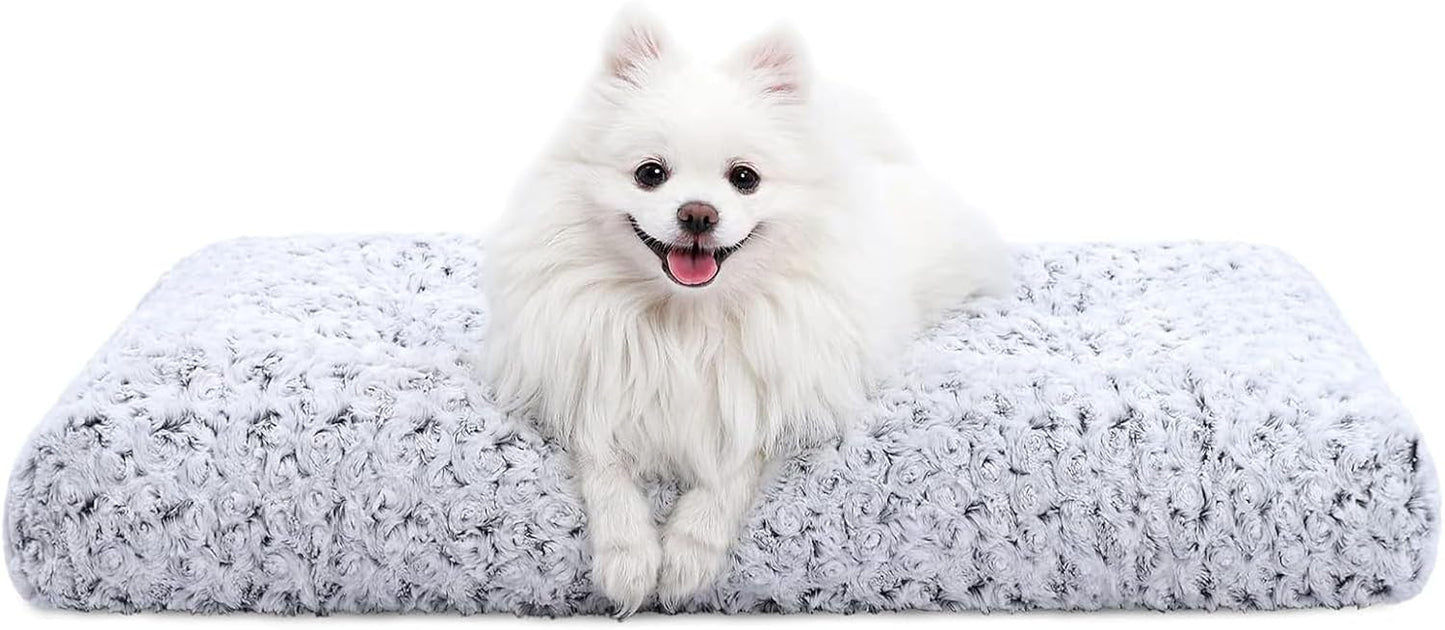 Vacuum packed KSIIA dog bed package before inflation