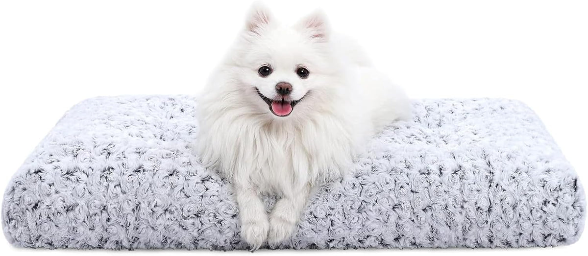 Vacuum packed KSIIA dog bed package before inflation