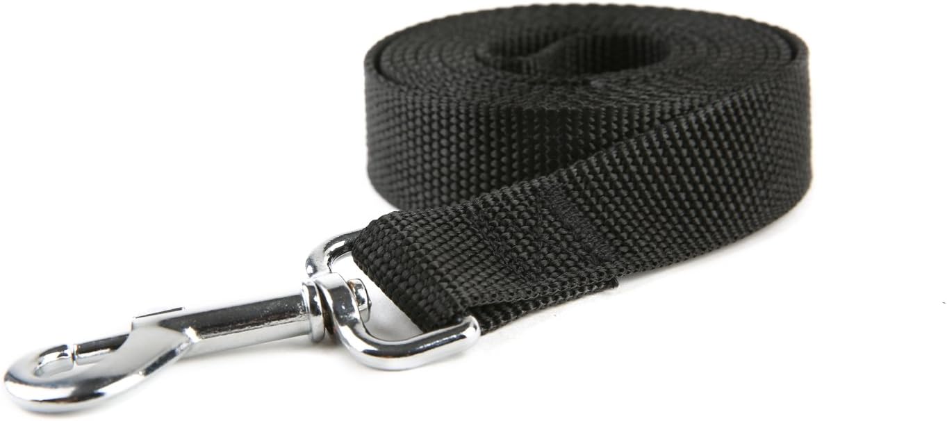 Premium nylon pet lead with silver metal snap hook close up