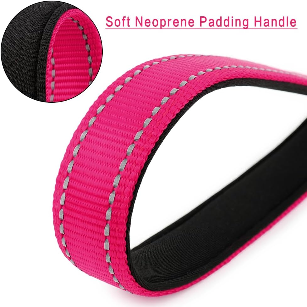 Plutus Pet pink 10 inch leash displaying the integrated reflective safety stitching.