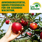 Etisso LacBalsam tree wound sealant displaying the premium European brand branding details.