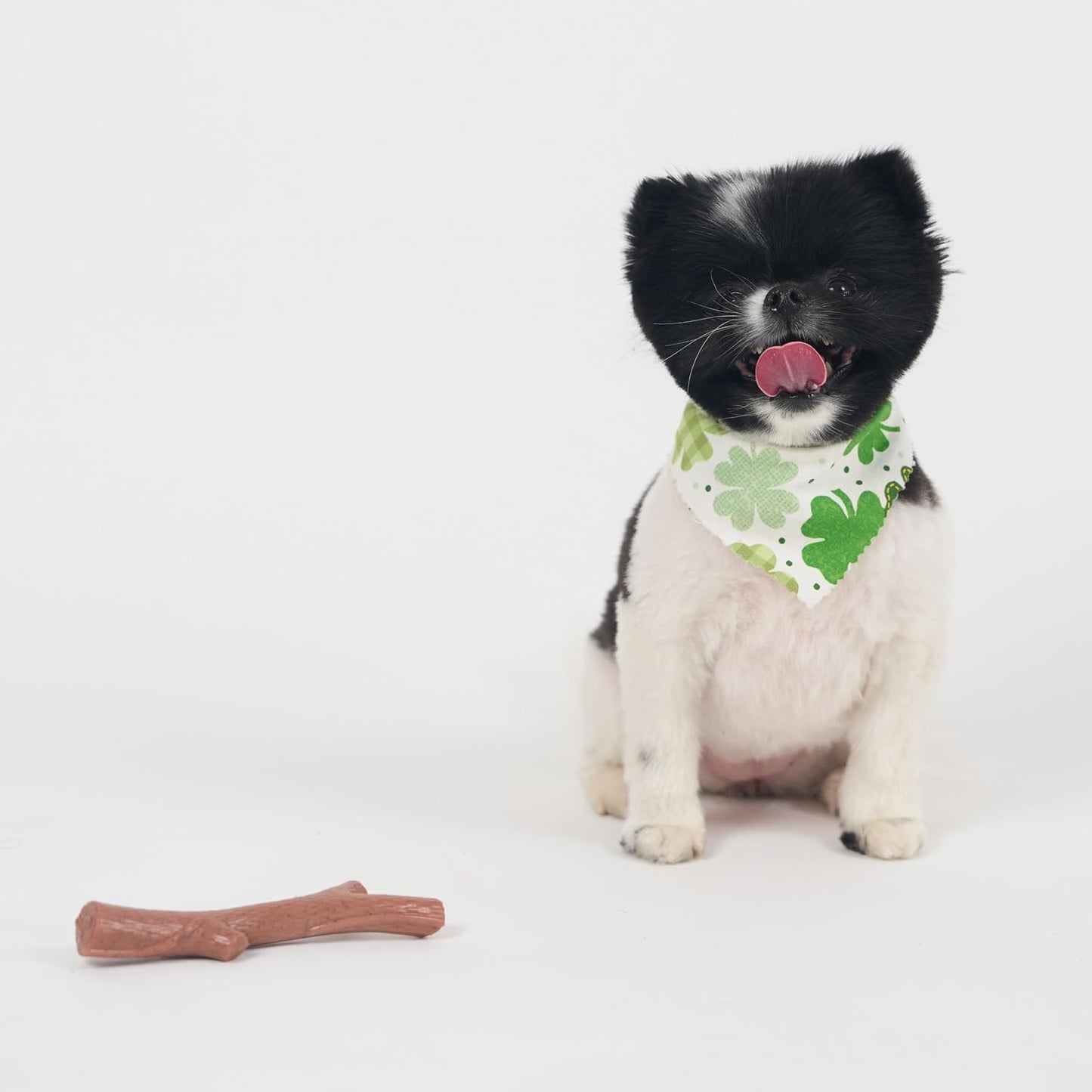 SPOT Bam-Bones Plus Branch -Bamboo Fiber & Nylon, Durable Long Lasting Dog Chew for Aggressive Chewers - Great Toy for Adult Dogs & Teething Puppies Under 60lbs, Non-Splintering, 5.75in, Beef Flavor - Image 13