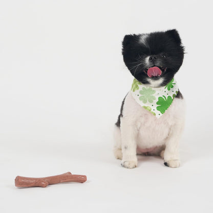 SPOT Bam-Bones Plus Branch -Bamboo Fiber & Nylon, Durable Long Lasting Dog Chew for Aggressive Chewers - Great Toy for Adult Dogs & Teething Puppies Under 60lbs, Non-Splintering, 5.75in, Beef Flavor - Image 13
