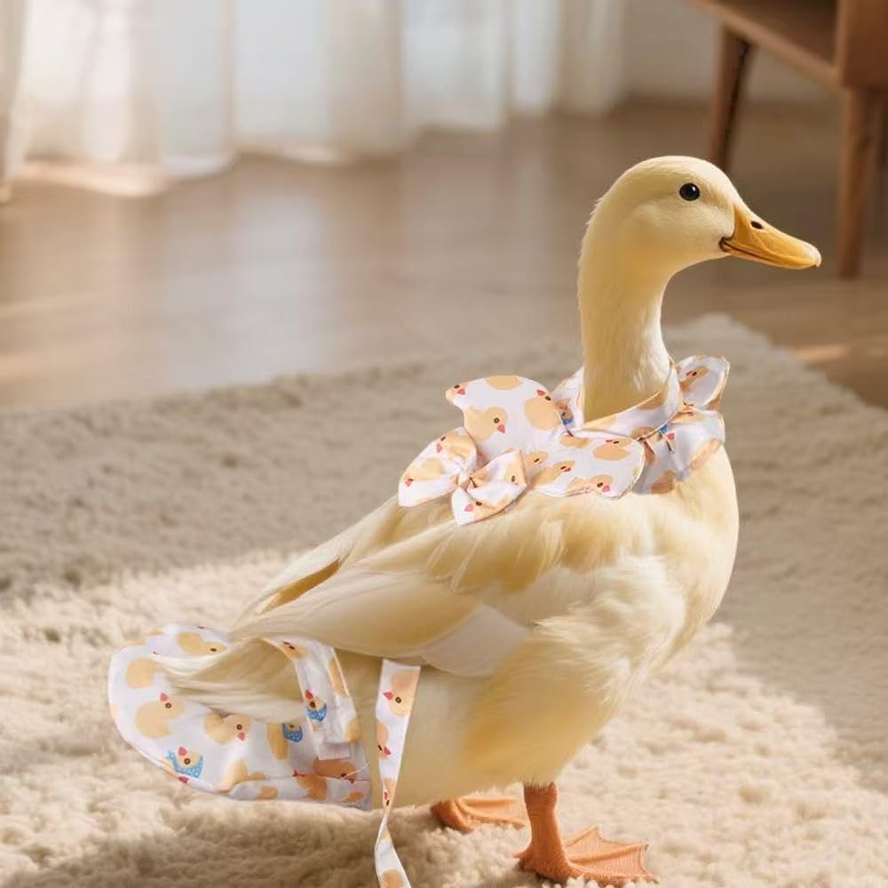 Adjustable poultry nappy harness with hook and loop closure detail