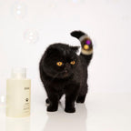 Luxury pet care products imported from USA