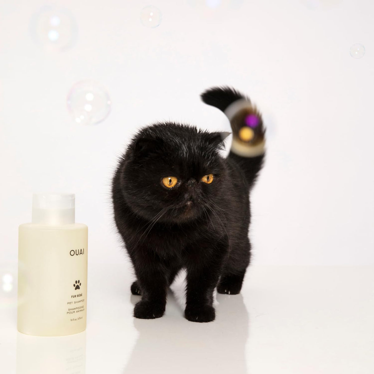 Luxury pet care products imported from USA