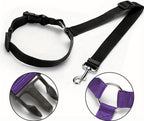 Heavy-duty metal clip for pet car harness