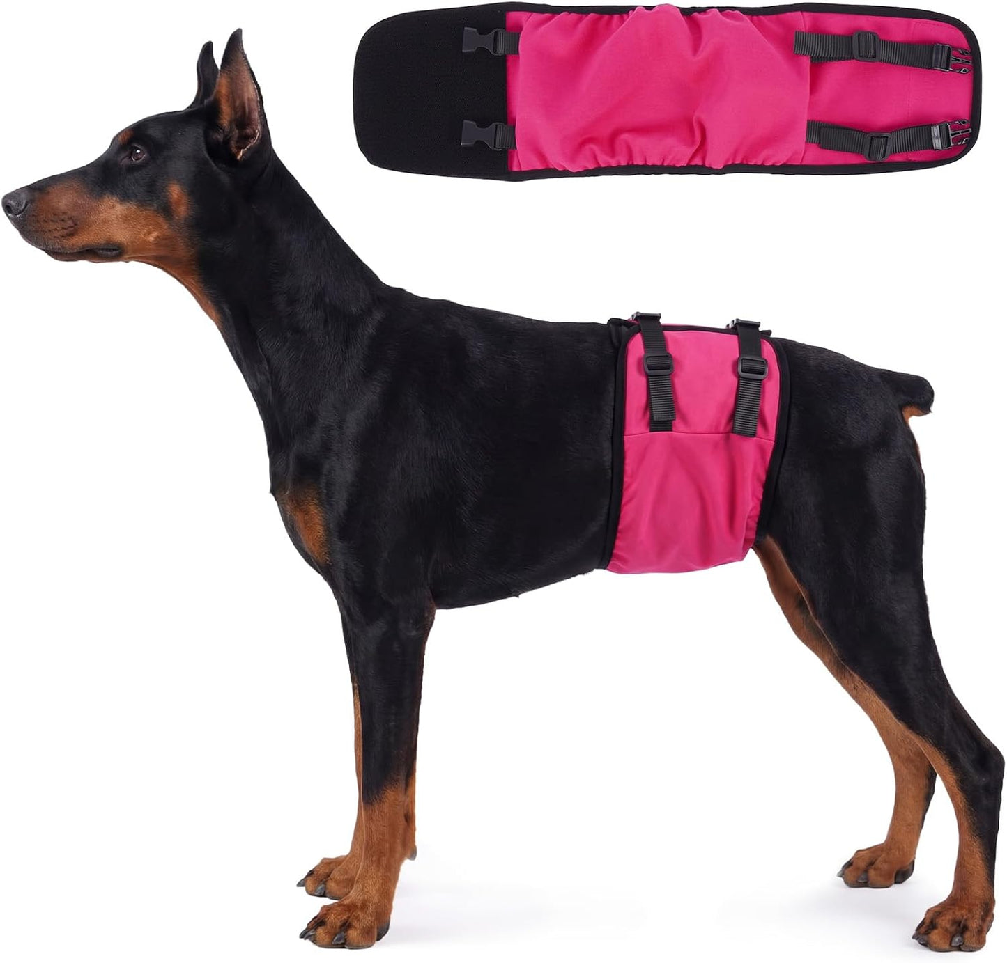 DENTRUN Male Dog Wrap - Machine Washable Post-Surgery Recovery & Heat Cycle Diaper, Prevents Licking, Mounting, Adjustable Belly Band, Marking Prevention Band, Leak-Proof Edges, Fast Drying - Image 9