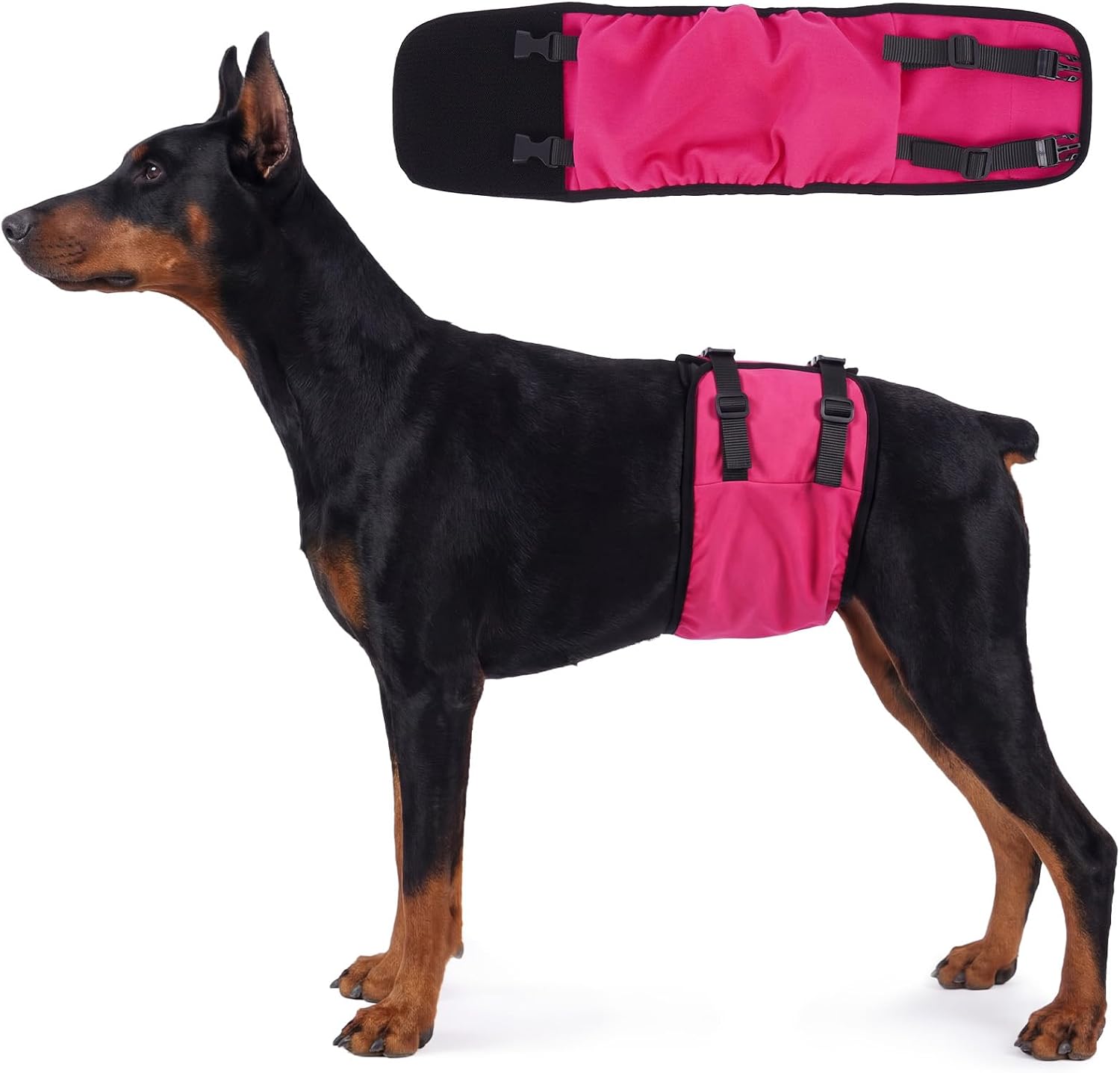 DENTRUN Male Dog Wrap - Machine Washable Post-Surgery Recovery & Heat Cycle Diaper, Prevents Licking, Mounting, Adjustable Belly Band, Marking Prevention Band, Leak-Proof Edges, Fast Drying - Image 9