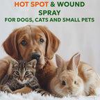 Forticept pet wound care spray for animal first aid