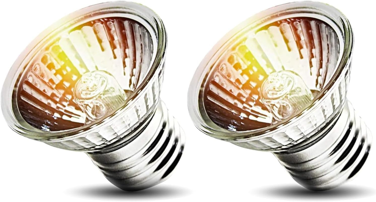 KOHEOPT full spectrum habitat lighting bulb safely positioned over an amphibian enclosure