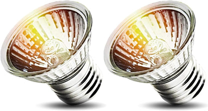 KOHEOPT full spectrum habitat lighting bulb safely positioned over an amphibian enclosure