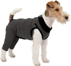 Dog comfortable in LeLePet post-surgery recovery apparel