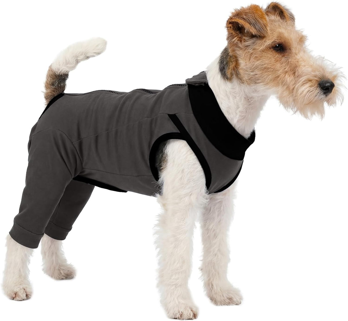 Dog comfortable in LeLePet post-surgery recovery apparel