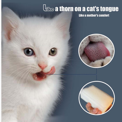 Pet owner using the SoarExcelyy gentle feline comb to groom a sensitive cat on the couch.
