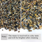 Fantian aquarium gravel used in a succulent plant pot