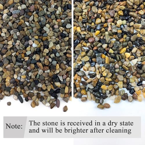 Fantian aquarium gravel used in a succulent plant pot