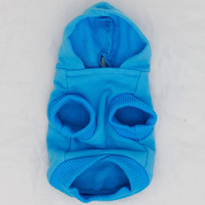 Close up of hood lanyard feature on Lophipets dog clothing