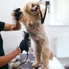 Side profile view of the premium one sixteenth inch pet clipper blade.