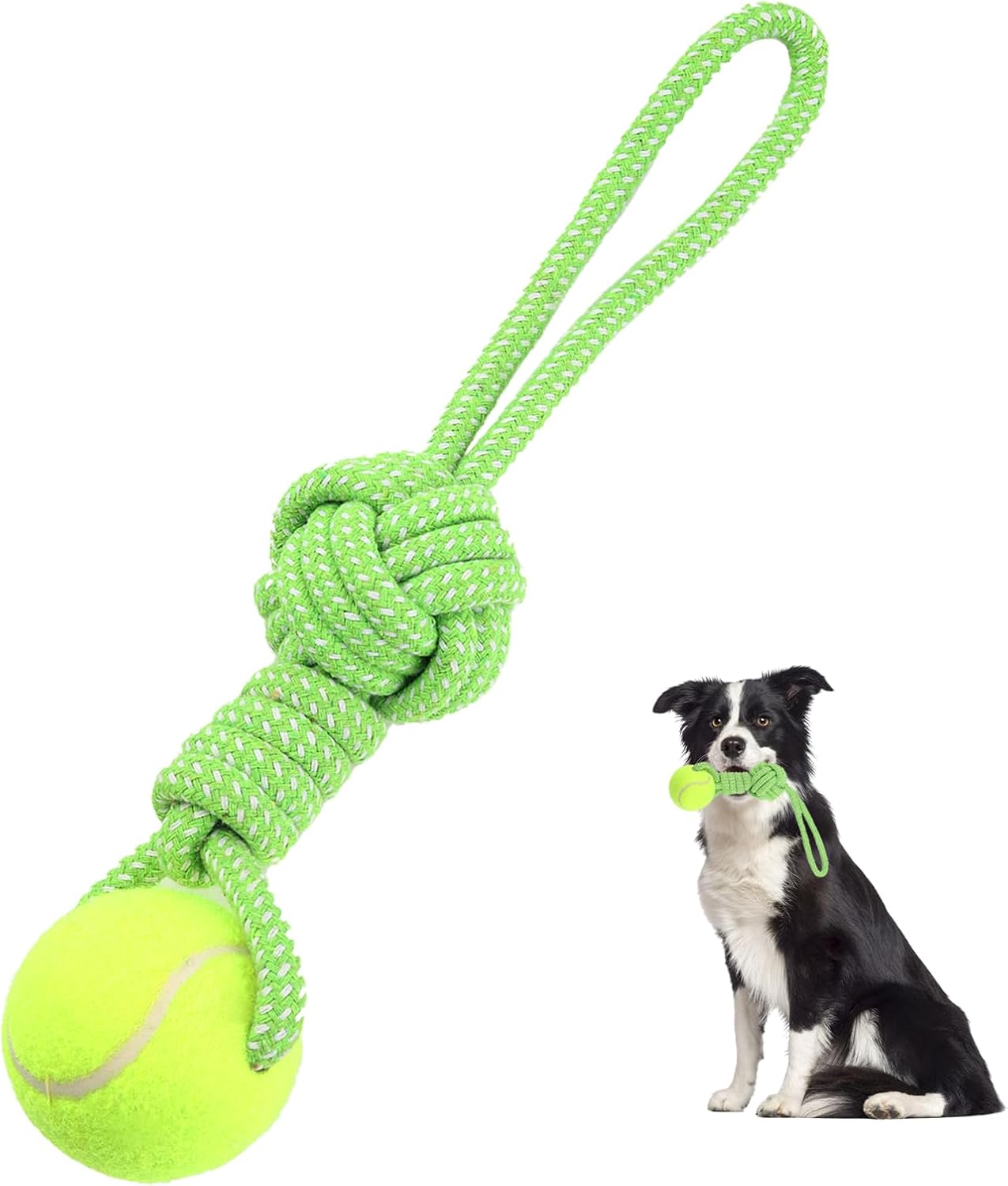 Full view of the Erhalithegro medium and small dog interactive play rope packaging.