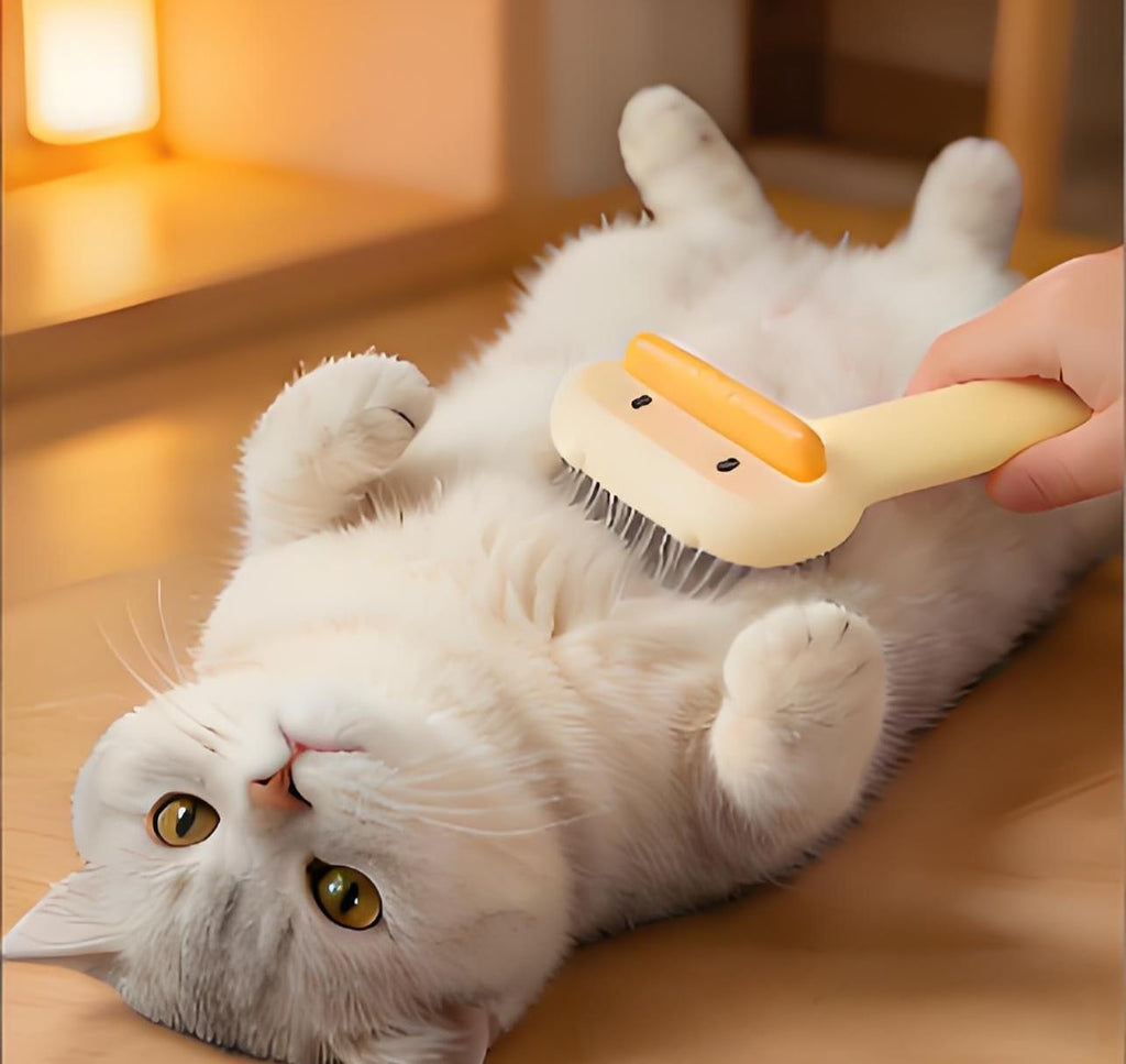 Rudra Retails 2 in 1 pet shedding brush alongside small breed puppy and kitten.